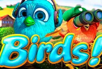 Birds